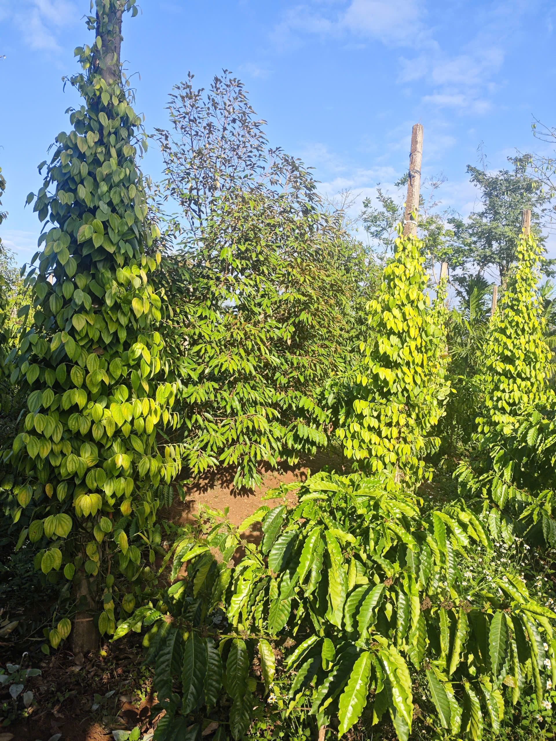 z7649154881266_3244973291be7b90a85093b413622513 - Copy